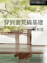 《星月纪元》小说封面