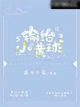 《输给小黄球》小说封面