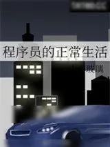 《程序员的正常生活》小说封面