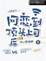 《网恋到顶头上司后》小说封面