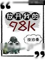 《放开我的98K[绝地求生]》小说封面