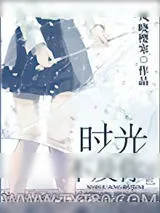 《时光不及你》小说封面
