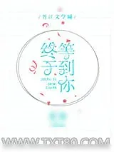 《终于等到你[王者荣耀]》小说封面