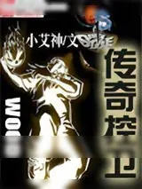《传奇控卫》小说封面