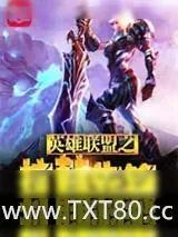 《英雄联盟之抗韩先锋》小说封面