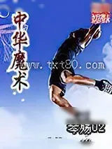 《中华魔术》小说封面
