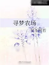 《苏子青的寻梦农场》小说封面