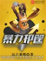 《暴力护筐手》小说封面