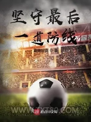《坚守最后一道防线》小说封面