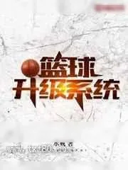 《篮球升级系统》小说封面