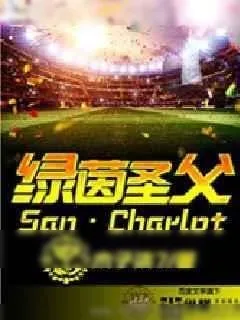 《圣·夏洛》小说封面