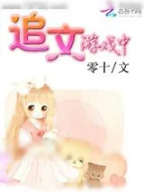 《追文游戏中》小说封面