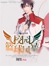 《校园篮球风暴》小说封面
