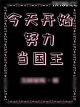 《今天开始努力当国王》小说封面