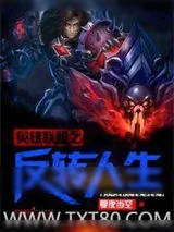 《英雄联盟之反转人生》小说封面