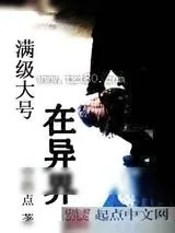 《满级大号在异界》小说封面