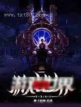 《穿梭在游戏世界》小说封面