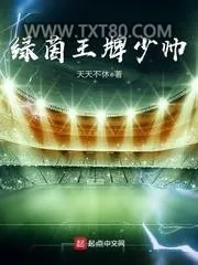 《绿茵王牌少帅》小说封面