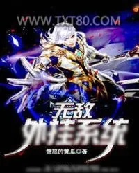 《无敌外挂系统》小说封面