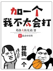 《加一个，我不太会打》小说封面