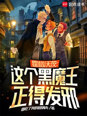 《霍格沃茨：这个黑魔王正得发邪》小说封面