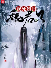 《视死如归魏君子》小说封面