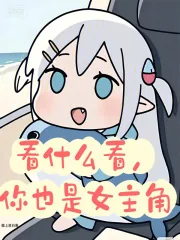 《看什么看，你也是女主角》小说封面