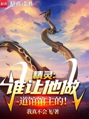 《精灵,谁让他做道馆馆主的》小说封面