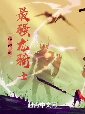 《神印之最强龙骑士》小说封面