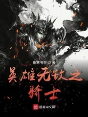 《英雄无敌之骑士》小说封面
