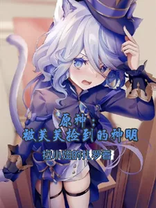 《原神：被芙芙捡到的神明》小说封面