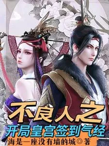 《不良人之开局皇宫签到气经》小说封面