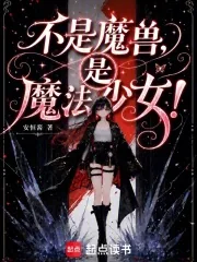 《不是魔兽，是魔法少女！》小说封面