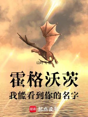 《霍格沃茨：我能看到你的名字》小说封面