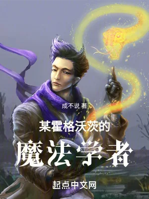 《某霍格沃茨的魔法学者》小说封面