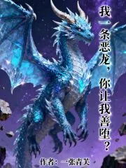 《我一条恶龙，你让我善堕？》小说封面
