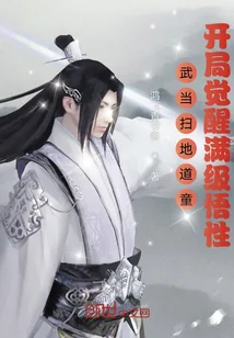 《武当扫地道童，开局觉醒满级悟性》小说封面