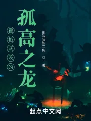 《霍格沃茨的孤高之龙》小说封面