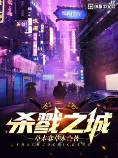 《杀戮之城》小说封面