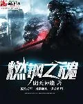 《燃钢之魂》小说封面