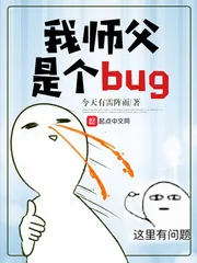 《我师父是个bug》小说封面