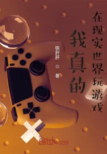 《我真的在现实世界玩游戏》小说封面