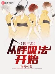 《网王之从呼吸法开始》小说封面