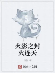 《木叶之封火连天》小说封面