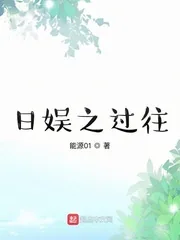 《日娱之过往》小说封面