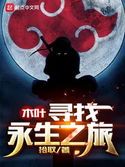 《木叶寻找永生之旅》小说封面