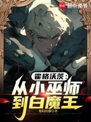 《霍格沃茨:从小巫师到白魔王》小说封面