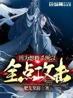 《因为想秒杀所以全点攻击》小说封面