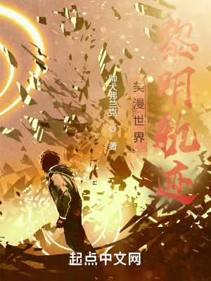 《美漫世界黎明轨迹》小说封面