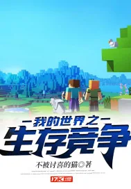 《我的世界之生存竞争》小说封面